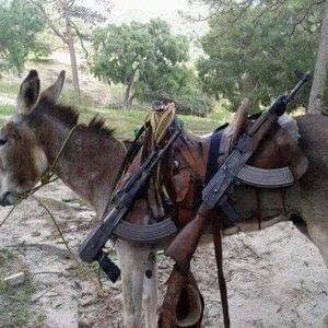 Meet your Posher, Alejandro